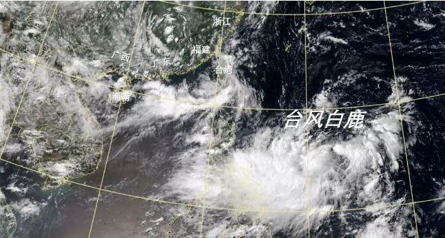 关注即将生成的第10号台风白鹿，防灾减灾，共筑安全防线