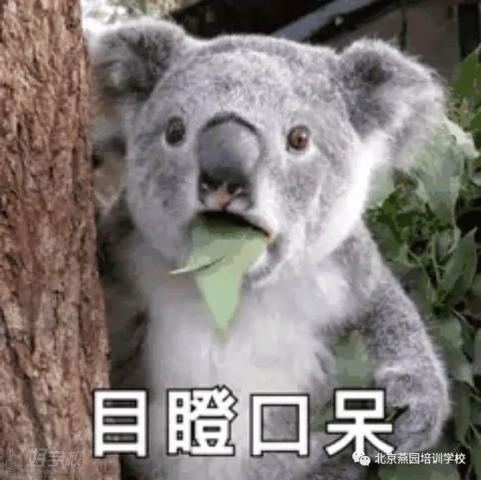 女子减肥心切，饿晕冲刺10米栽倒，同事惊呆目瞪口呆