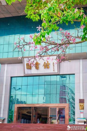 岭南师范学院回应给留学生配陪读争议，教育公平与文化交流的平衡
