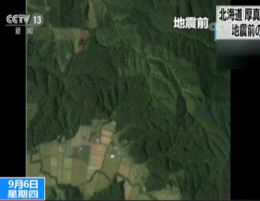 震撼一幕，强震致山体崩落，海豹集体跳海躲避的奇迹