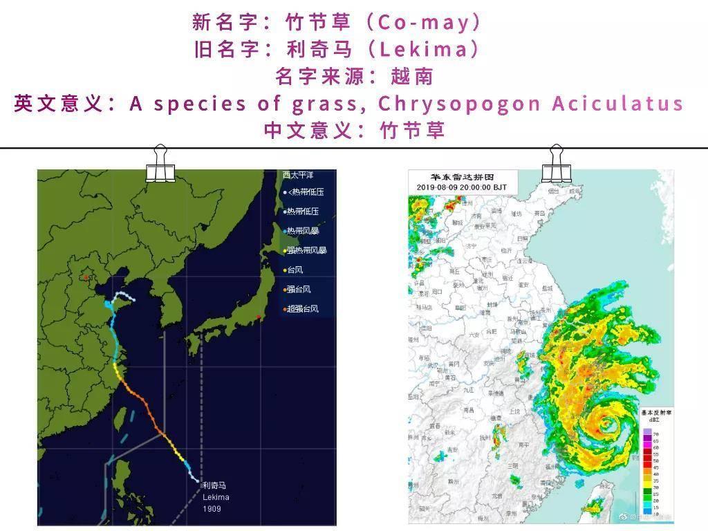 台风竹节草的肆虐，自然之力下的鱼群奇观