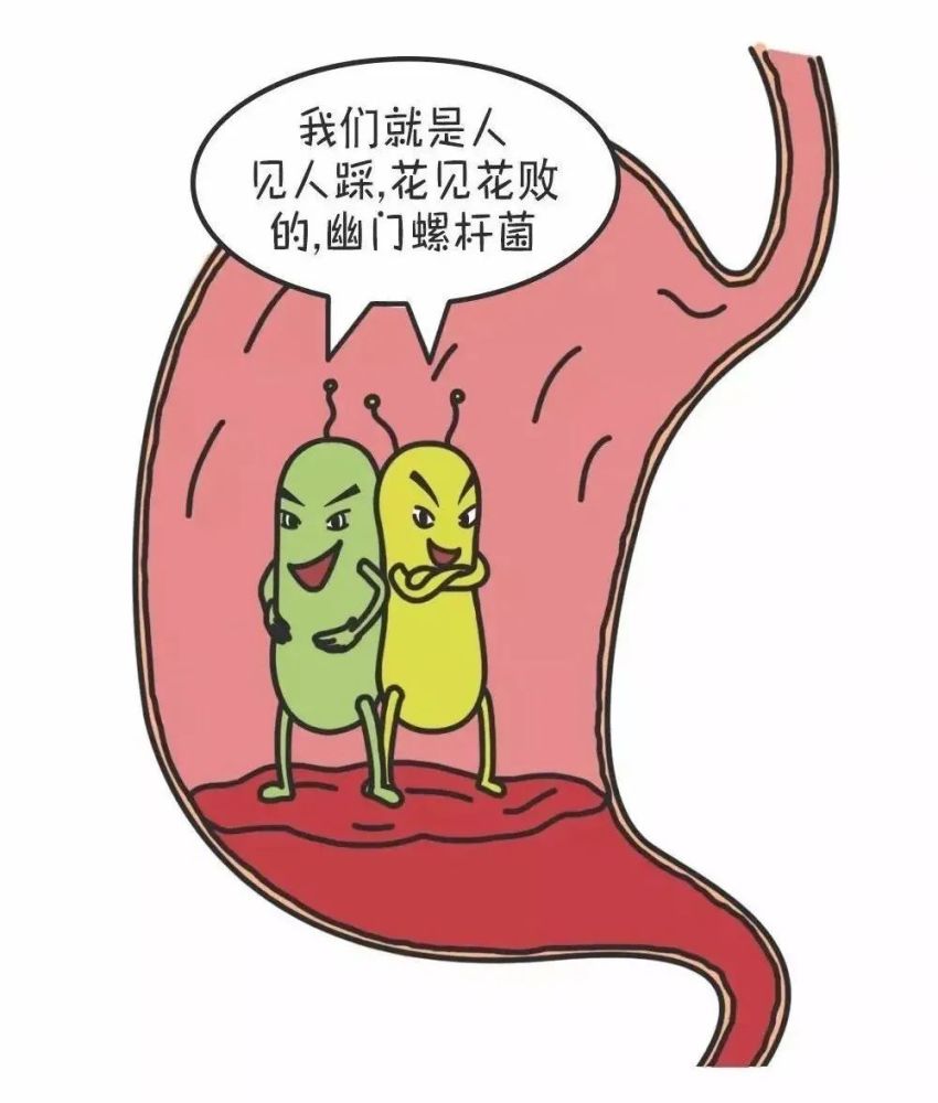 26岁女生的胃癌警钟，疑因幽门螺旋杆菌的隐秘威胁