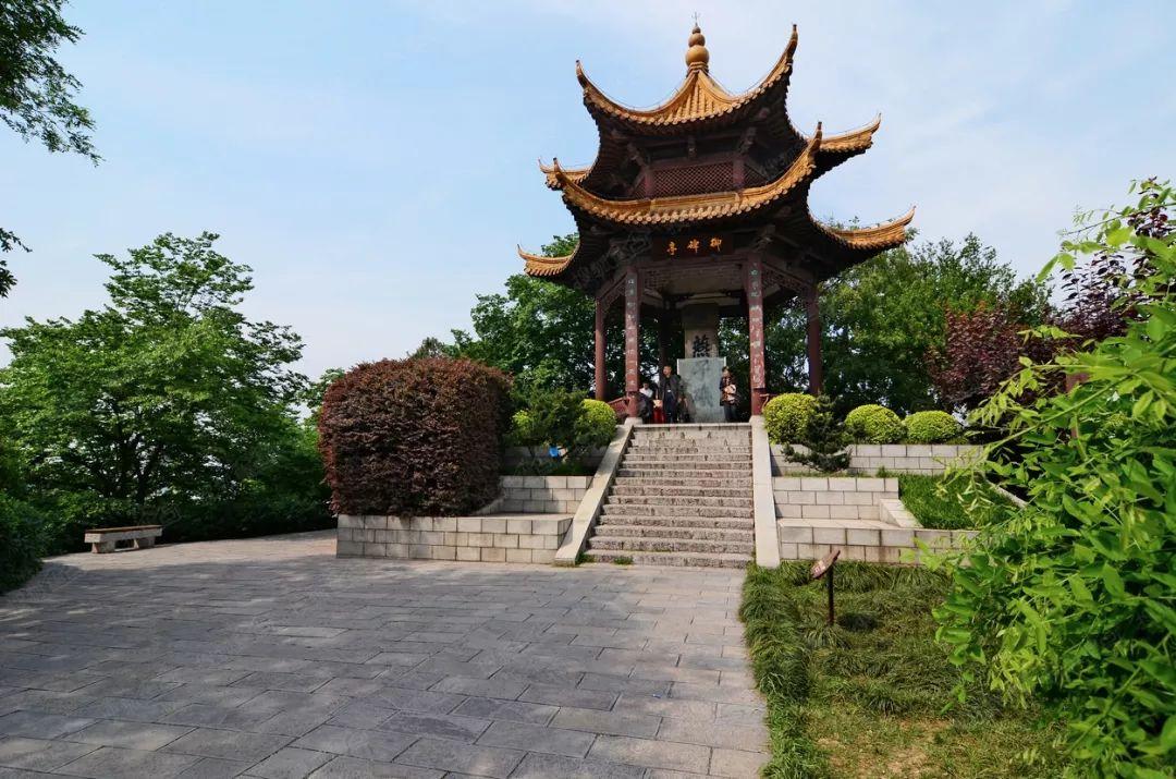 铁证如山，主创团队揭秘南京照相馆的影像力量