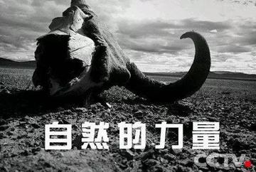 俄堪察加半岛8.7级强震后火山喷发，自然力量的震撼与挑战
