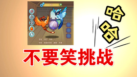 网红旺仔小乔上海站演唱会延期，粉丝期待与挑战并存