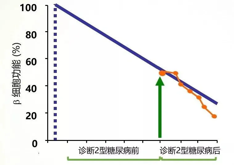 司美格鲁肽，从降糖奇迹到市场波动的反思