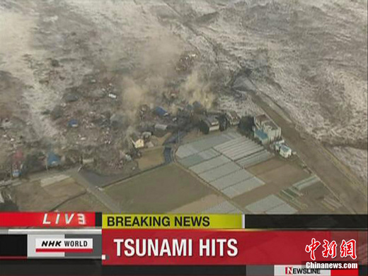 海啸警报下的日本，民众挤满屋顶的生死瞬间