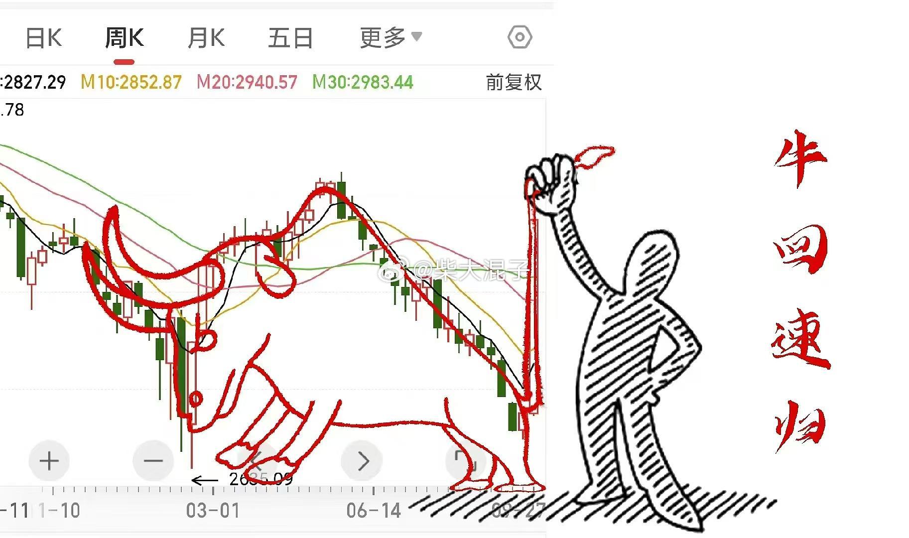 00后勇闯牛市，赚钱就是股神