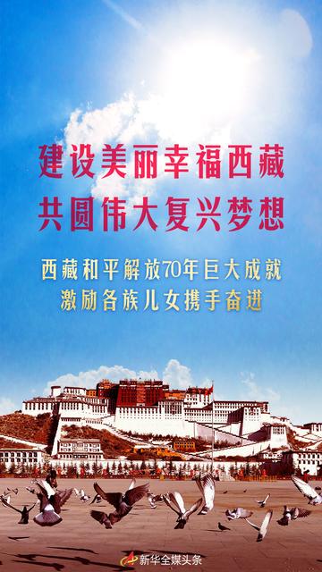 描绘新时代西藏发展新画卷，高原上的璀璨明珠