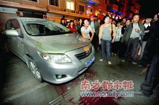 当地社会对代驾司机撞倒2名女生致死事件的深度回应