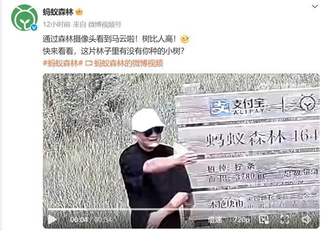 马云现身蚂蚁森林，绿色梦想的践行者与科技力量的融合