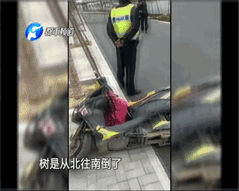 杨宗纬舞台意外，目击者称疑短暂昏迷，现场惊心动魄