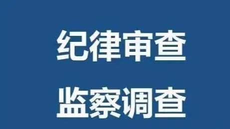中纪委重拳出击，公职人员六类副业全面禁令，守护公信力与廉洁底线