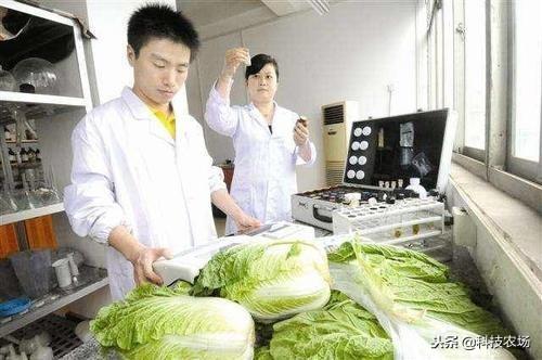 网传重庆遭遇百年难遇洪水？官方辟谣，不实信息，需谨慎甄别