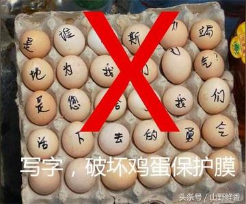 鸡蛋储存前要清洗，一个被误读的常识