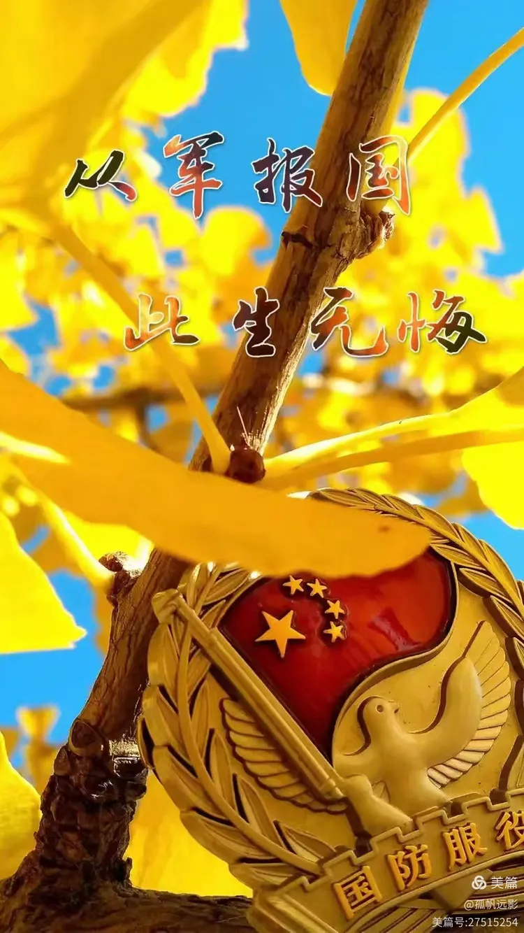 热血铸军魂，八一这一幕的永恒记忆