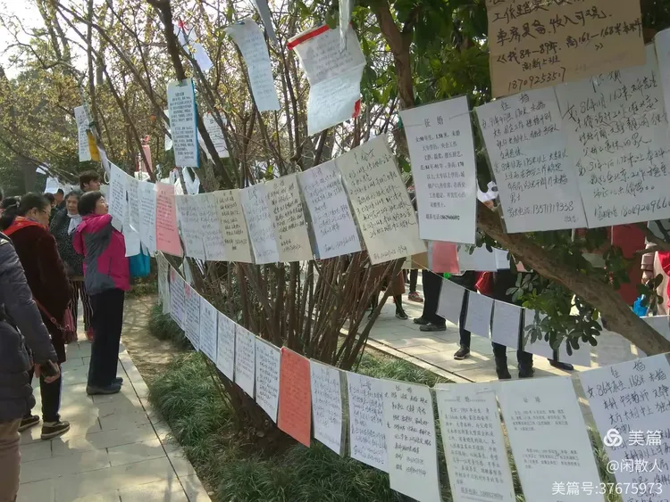 青春无畏，携手共赴爱的公园相亲角