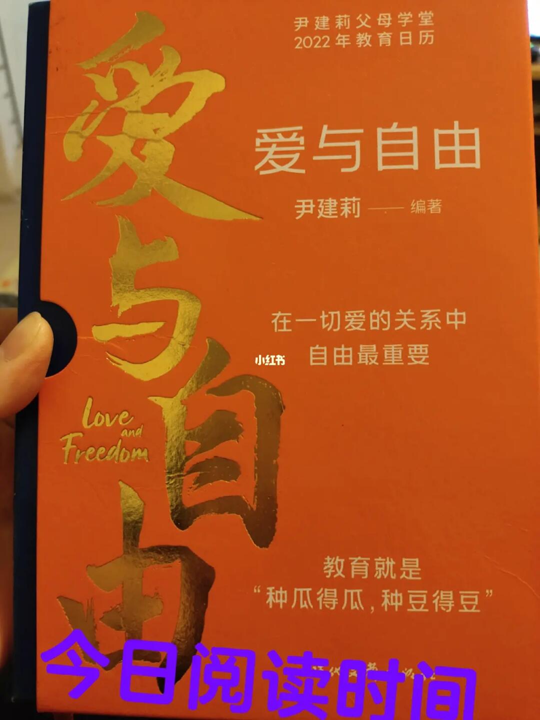 爱与自由的边界，已婚女性的抉择与挣扎