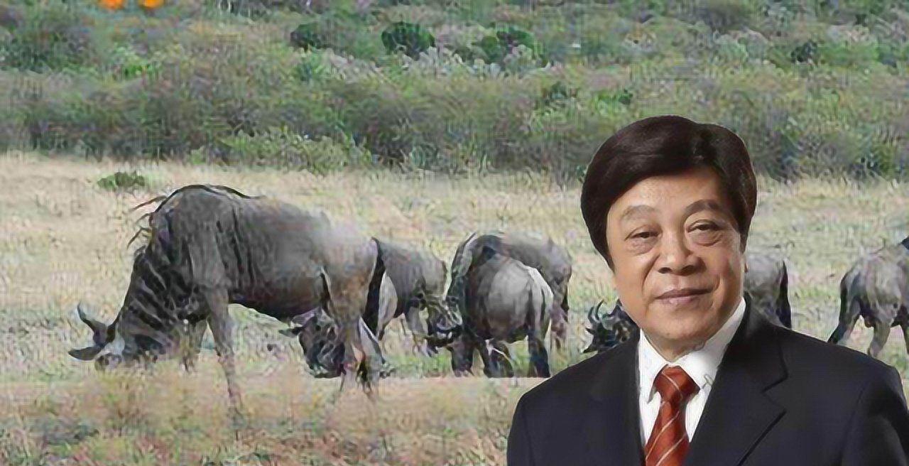 生命的脆弱与坚韧，荣成车祸中一朵未绽放的希望之花