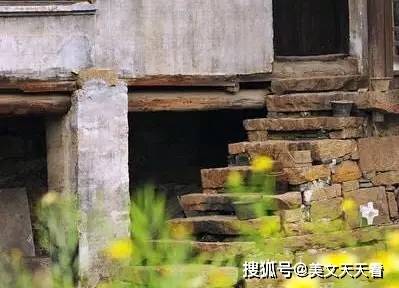 探秘古刹新韵，白马寺的免费茶香与闲地玉米情