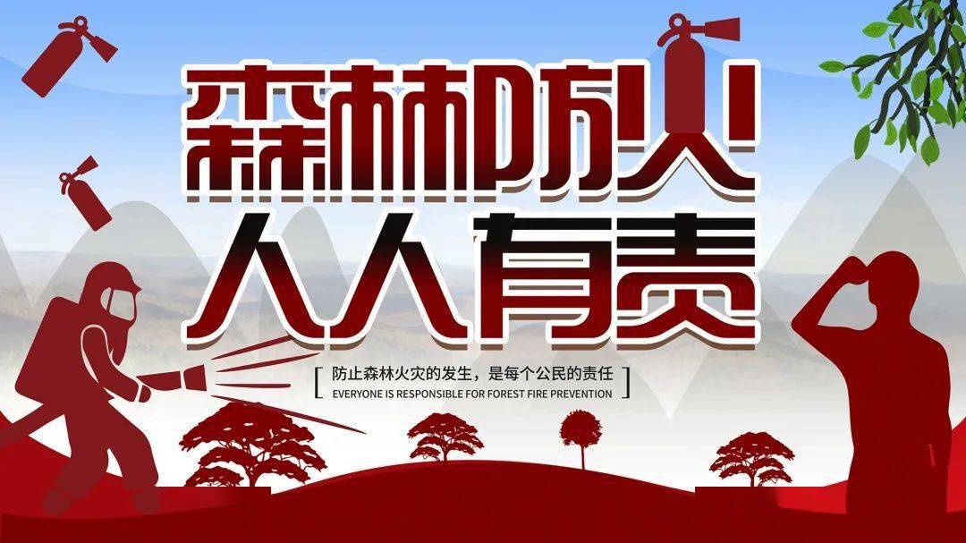 未成年人骑四座共享电车被约谈，安全意识与责任教育的警钟