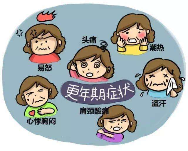 那一抹更年期的温柔—那英花少之旅的细腻关怀
