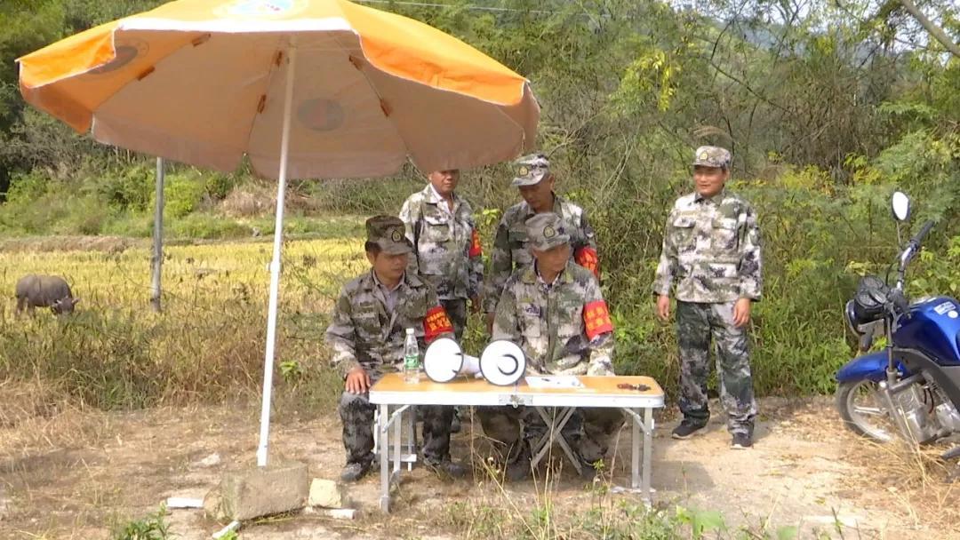 惊愕之举，入境旅客竟将200多枚鹦鹉蛋冲入下水道，生态保护警钟再响