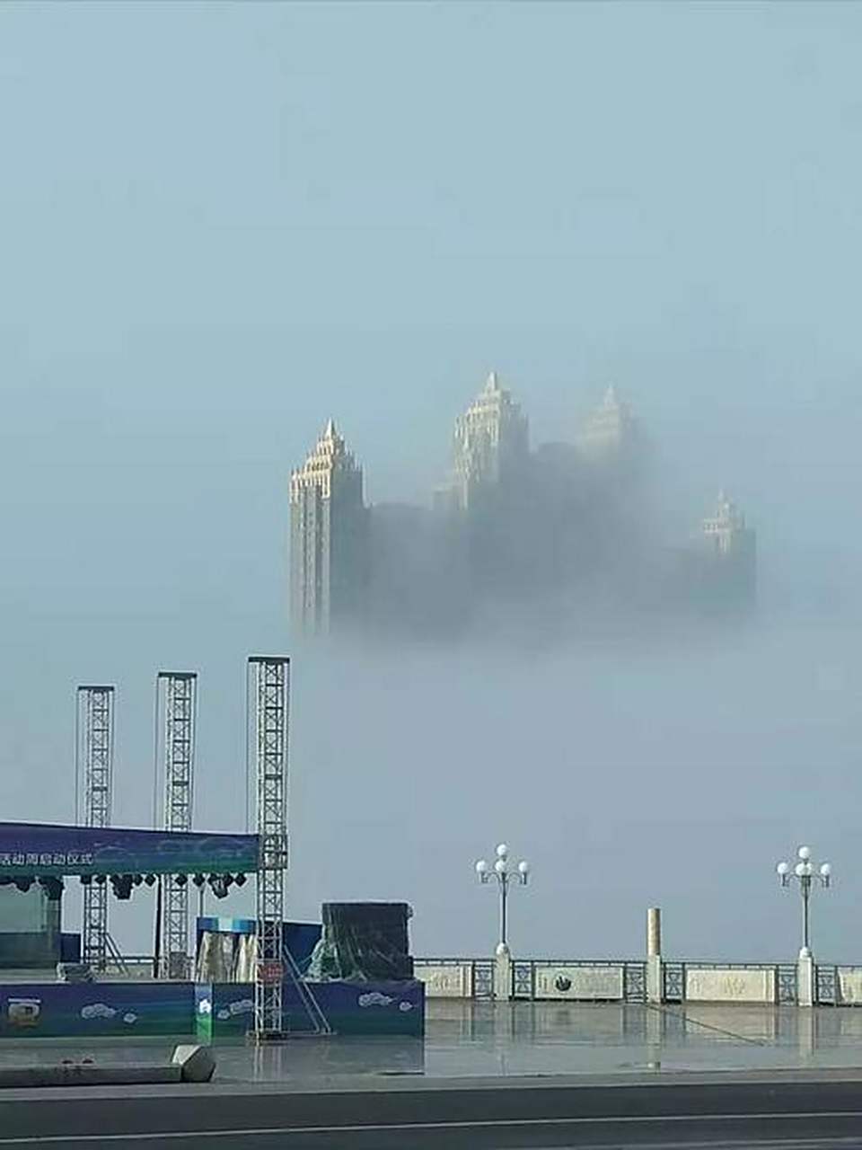 惊现都市奇观，上海一小区居民遛起北美赤狐