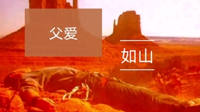国航一航班因氧气面罩系统故障返航，安全第一，责任如山