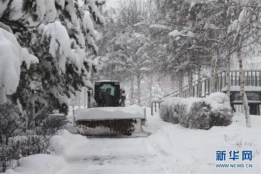 奇景再现，新疆阿勒泰7月底突降大雪，当地政府及时回应暖人心