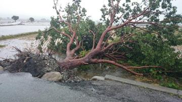 台风杨柳登陆台湾台东，风雨中的守护与坚韧