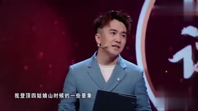 陶白白官宣离婚，娱乐圈的又一情感风暴