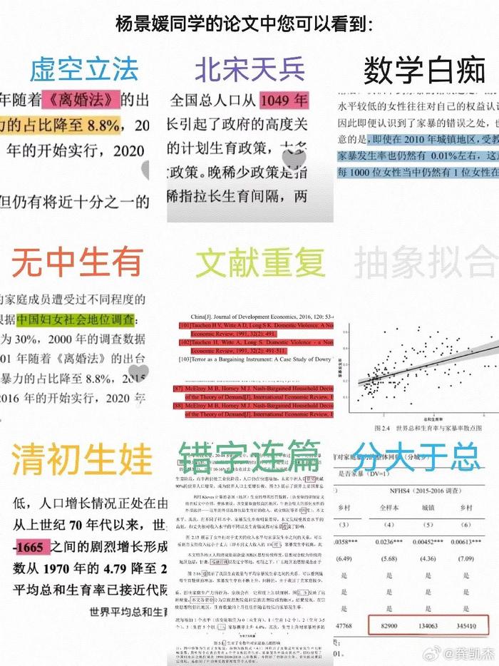武大将调查复核杨某某学位论文，学术诚信的再审视与反思
