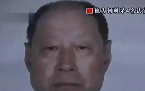 武汉大学肖同学处罚公告消失之谜，透明度与公正性的考量