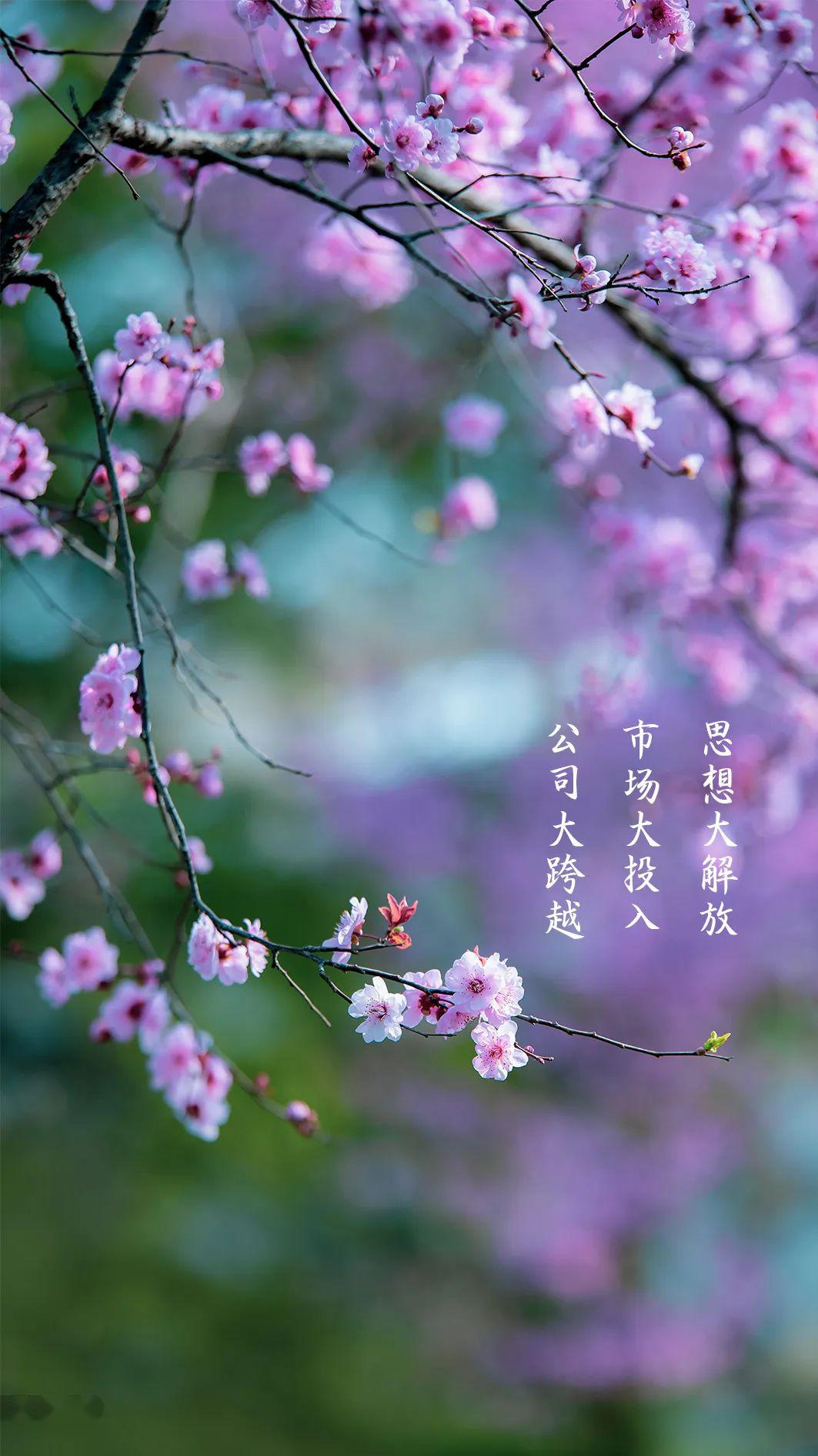 满屏节哀，遇难男童父亲救援群致谢，爱与希望的共鸣