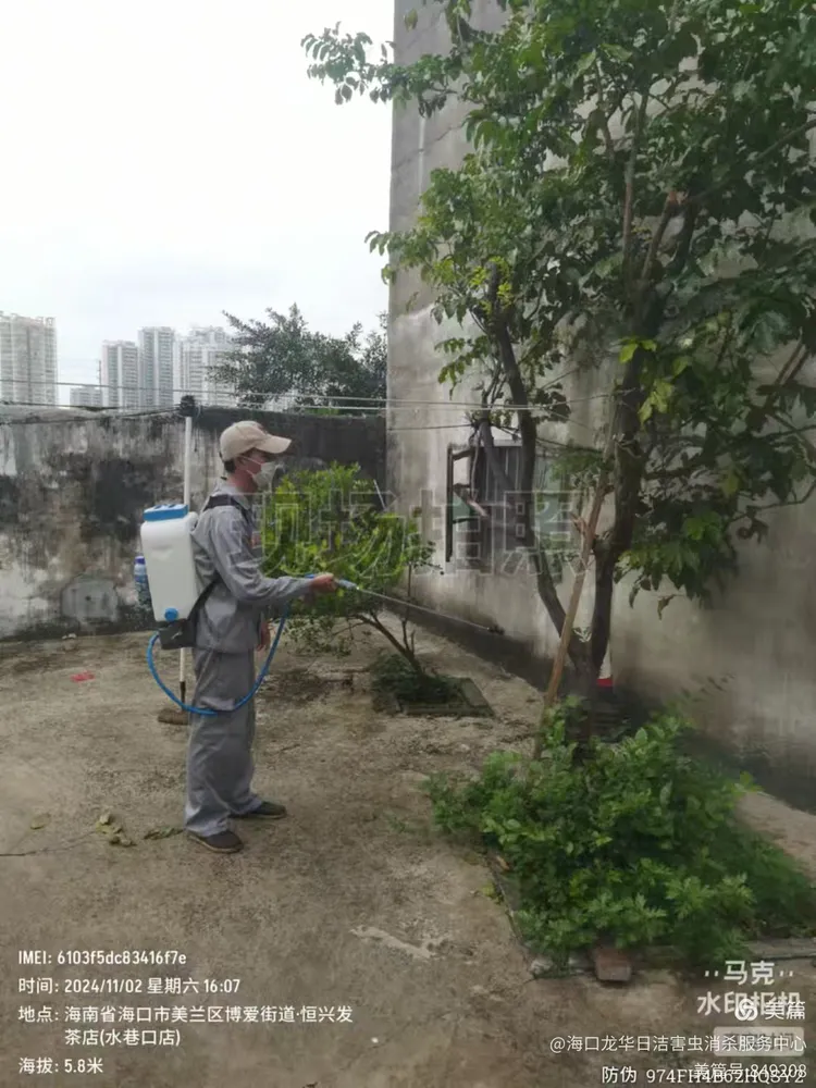 广州住宅区喷剧毒农药？一场不攻自破的谣言风波