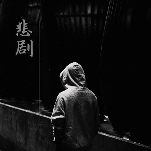 悲剧的背后，柬埔寨男子被迫入园工作，绝望跳车身亡的悲剧启示