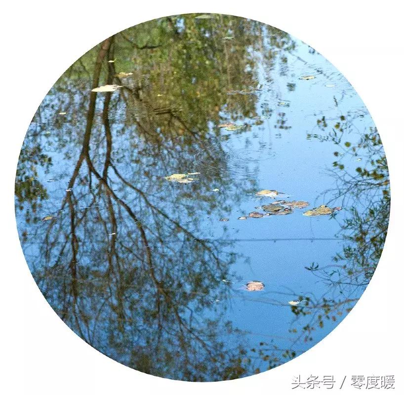 网络上的我与余华，虚拟与现实的交织