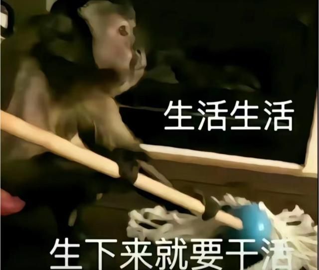 赵露思，不拘泥于潮流，坚守自我—拒绝直播带货的独特魅力