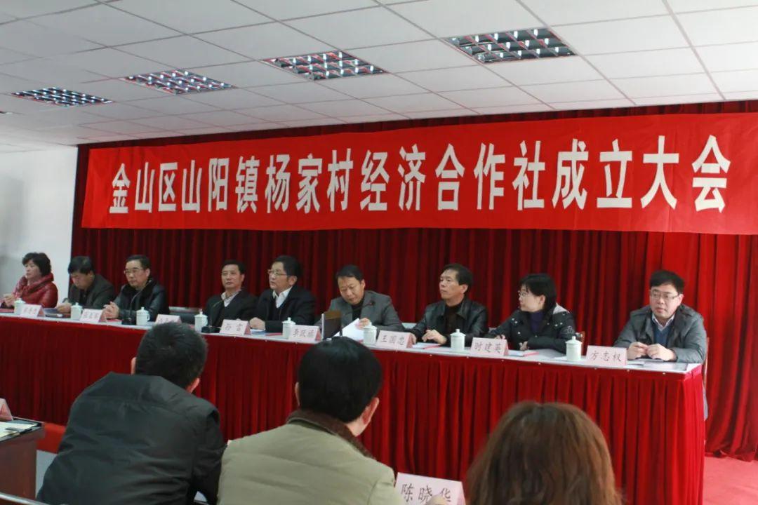 中信证券半年净赚137亿，稳健运营与慷慨分红的双赢策略