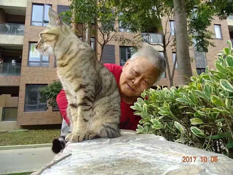 猫缘奇事，三万金镯子的垃圾桶奇遇