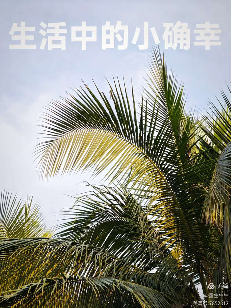 骑遇黄昏，多人下班后兼职骑手，4小时收获60元的小确幸