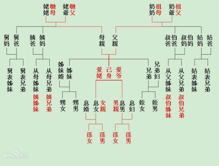 六代单传的家族血脉，上海女子悬赏房产寻子