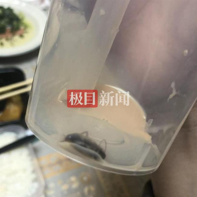 奶茶惊现蟑螂，蜜雪冰城被索赔1000元，食品安全与消费者权益的警钟