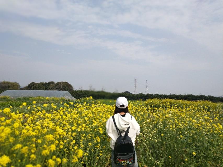 住户因马桶冲水声太响被邻居起诉，城市生活中的小烦恼与大问题