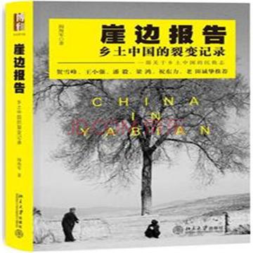 从生万物到农村玛丽苏，网络文学中的乡土幻想与现实脱节