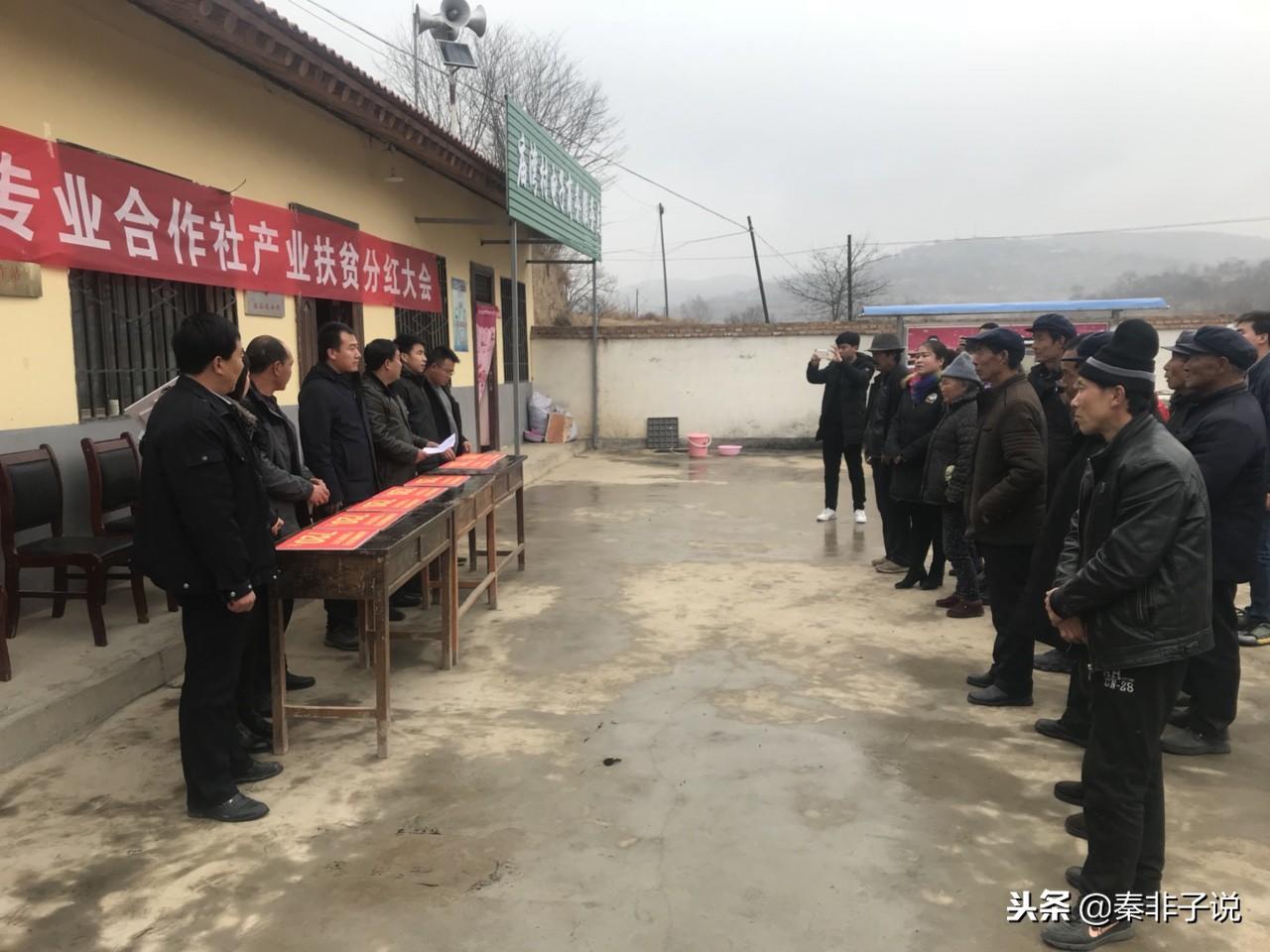 46家A股公司中期分红超720亿，资本市场健康发展的新亮点
