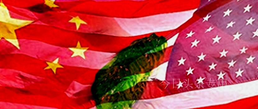 直击美俄元首会谈，全球地缘政治的微妙平衡与未来走向