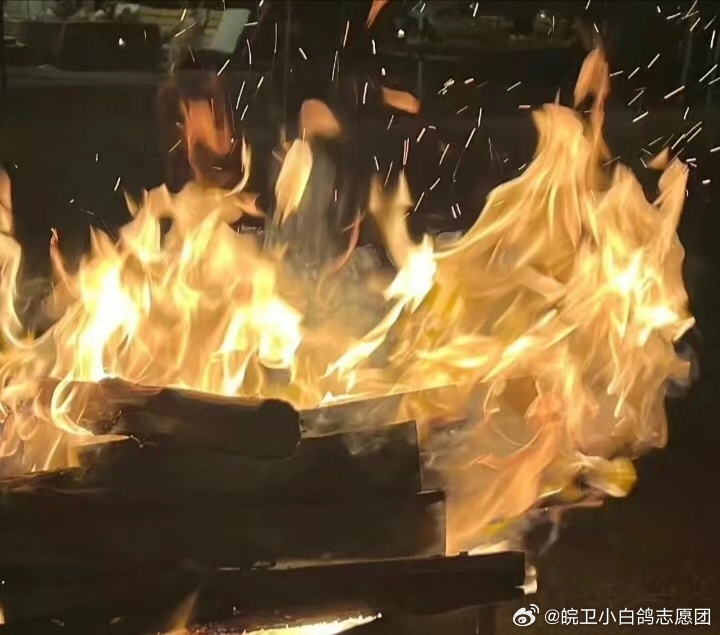 凤凰涅槃，组合虽止步世锦赛32强，但梦想之火永不熄灭