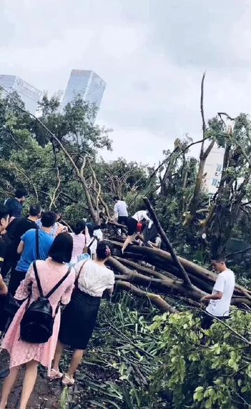 台风剑鱼过后，三亚的挑战与重生
